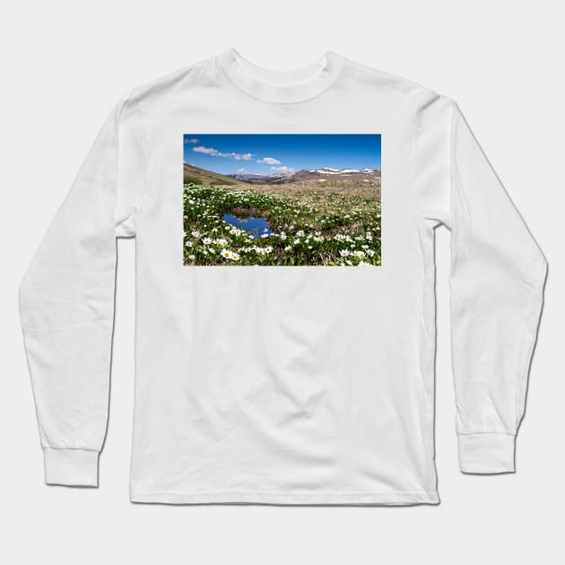 Summer in Colorado Long Sleeve T-Shirt by valentina9
